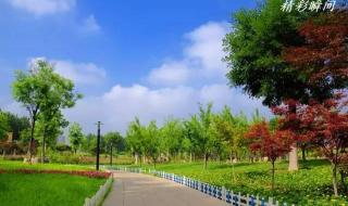 中原官话蔡鲁片