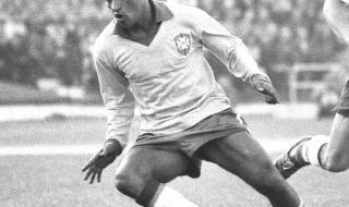 巴西世界杯最佳射手